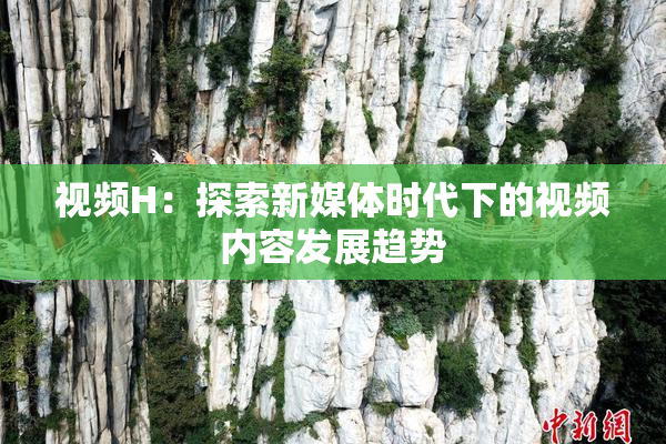 视频H：探索新媒体时代下的视频内容发展趋势
