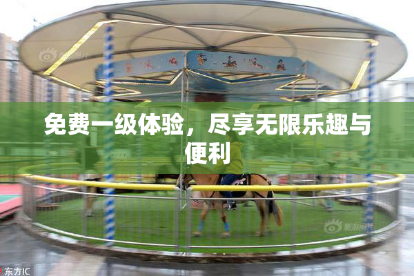 免费一级体验，尽享无限乐趣与便利