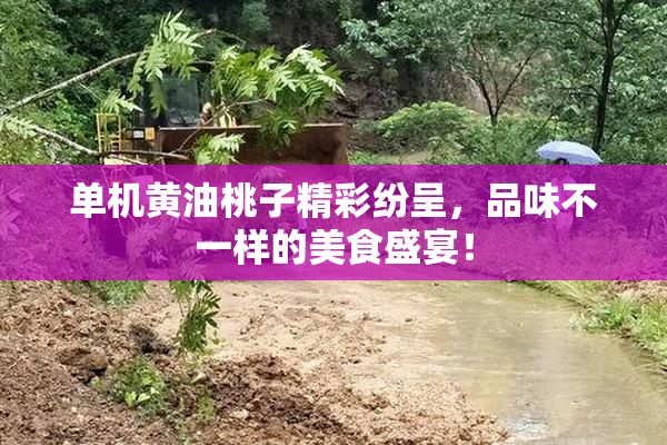 单机黄油桃子精彩纷呈，品味不一样的美食盛宴！
