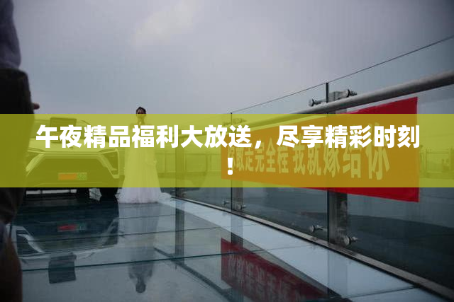午夜精品福利大放送，尽享精彩时刻！