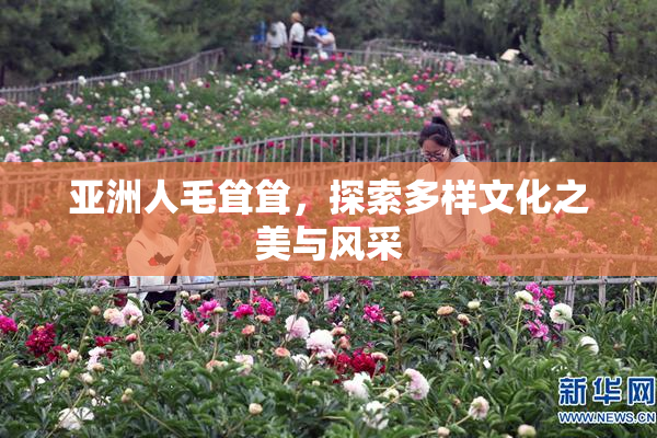 亚洲人毛耸耸，探索多样文化之美与风采