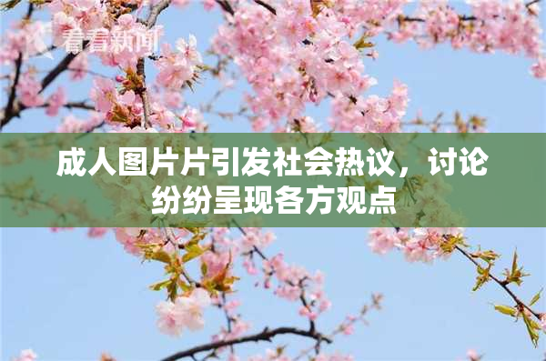 成人图片片引发社会热议，讨论纷纷呈现各方观点