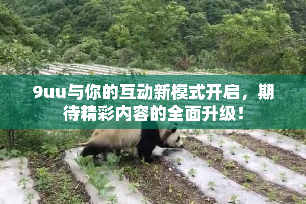 9uu与你的互动新模式开启，期待精彩内容的全面升级！