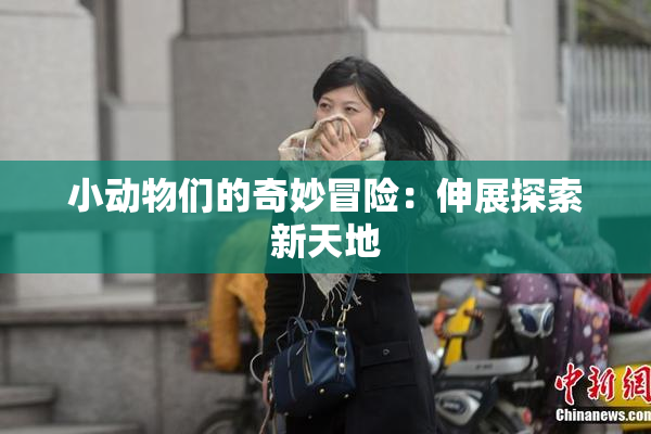 小动物们的奇妙冒险：伸展探索新天地
