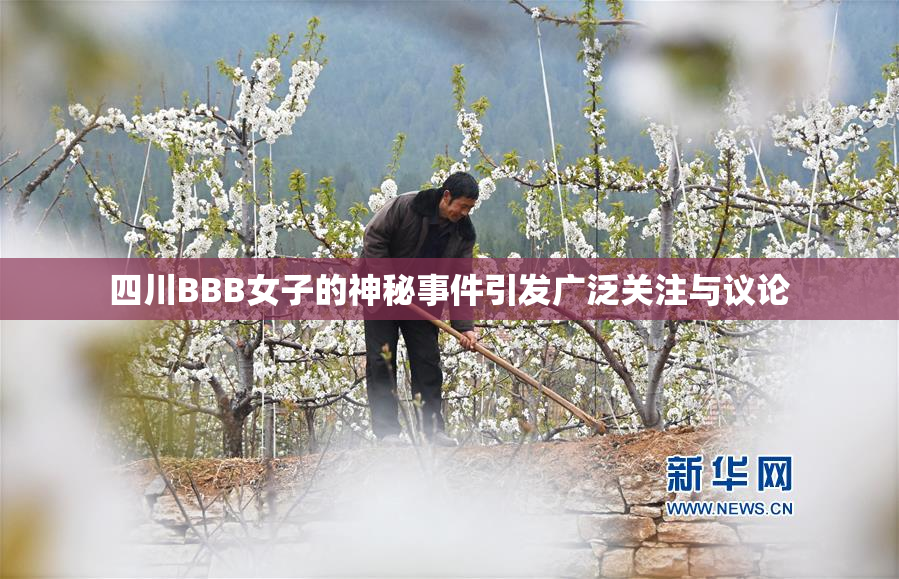 四川BBB女子的神秘事件引发广泛关注与议论