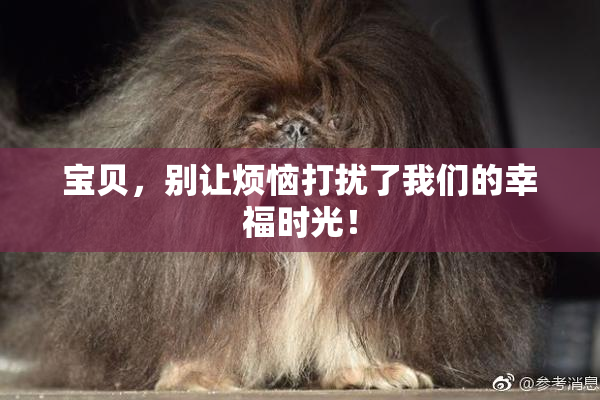 宝贝，别让烦恼打扰了我们的幸福时光！
