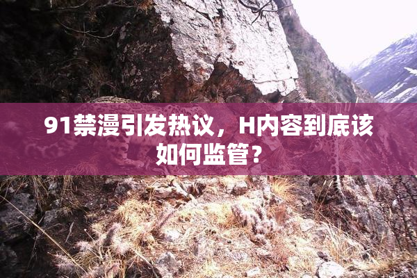 91禁漫引发热议，H内容到底该如何监管？