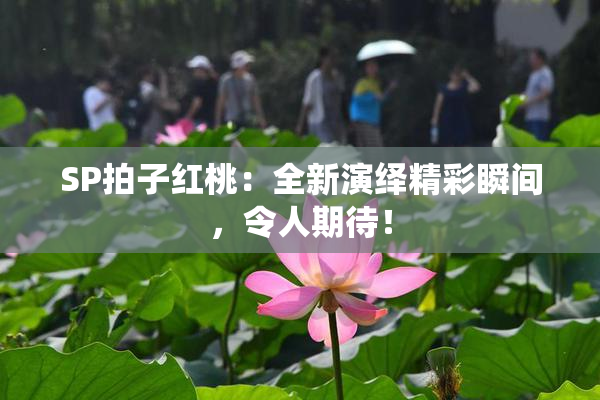 SP拍子红桃：全新演绎精彩瞬间，令人期待！