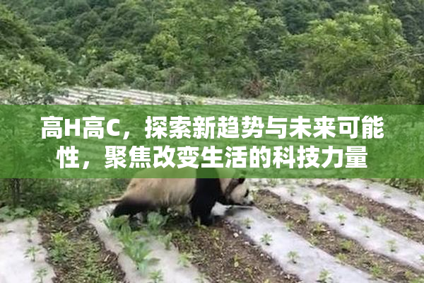 高H高C，探索新趋势与未来可能性，聚焦改变生活的科技力量