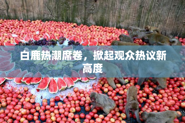 白鹿热潮席卷，掀起观众热议新高度