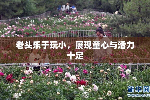 老头乐于玩小，展现童心与活力十足