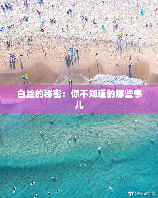 白丝的秘密：你不知道的那些事儿