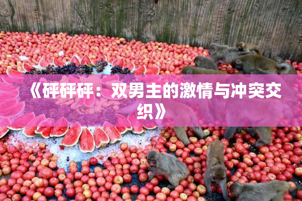《砰砰砰：双男主的激情与冲突交织》