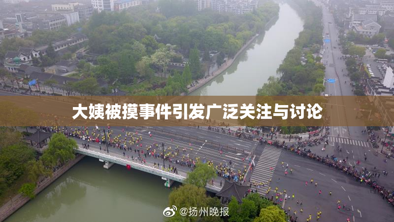 大姨被摸事件引发广泛关注与讨论