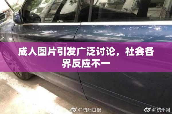 成人图片引发广泛讨论，社会各界反应不一