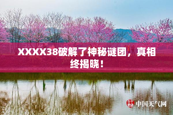 XXXX38破解了神秘谜团，真相终揭晓！