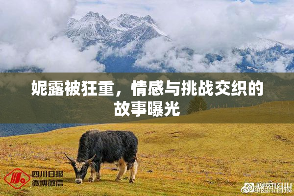 妮露被狂重，情感与挑战交织的故事曝光