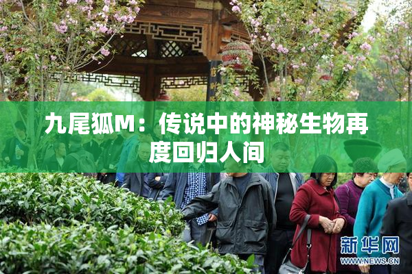 九尾狐M：传说中的神秘生物再度回归人间
