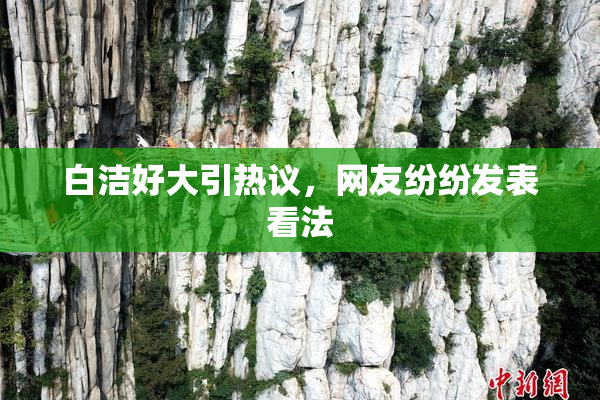 白洁好大引热议，网友纷纷发表看法