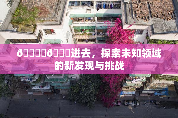 🔞‌🍌进去，探索未知领域的新发现与挑战