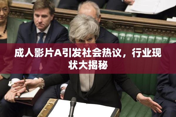 成人影片A引发社会热议，行业现状大揭秘