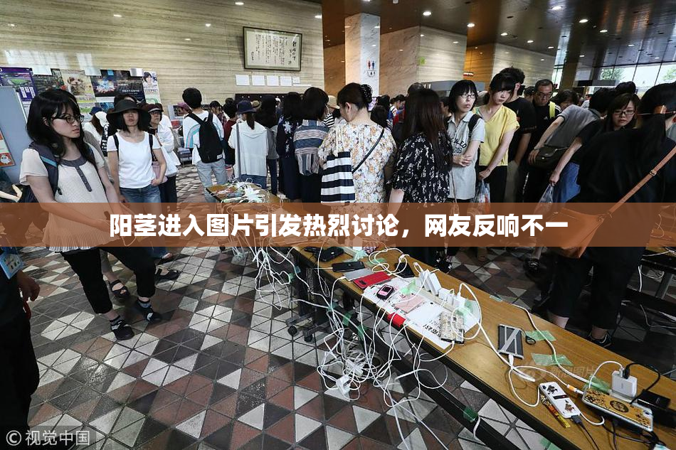 阳茎进入图片引发热烈讨论，网友反响不一