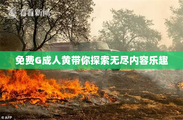 免费G成人黄带你探索无尽内容乐趣