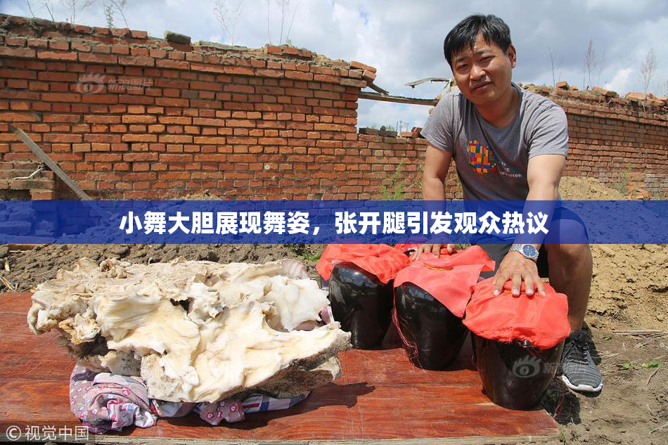 小舞大胆展现舞姿，张开腿引发观众热议
