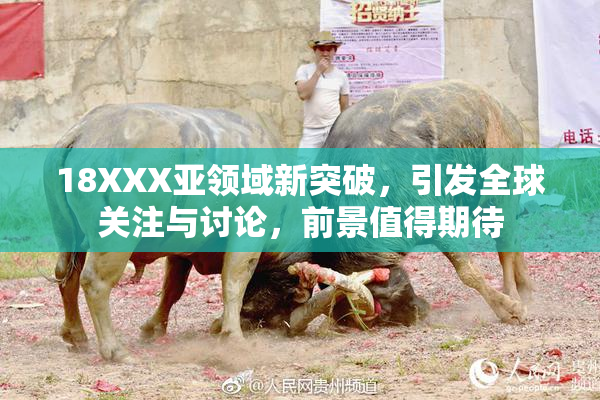 18XXX亚领域新突破，引发全球关注与讨论，前景值得期待