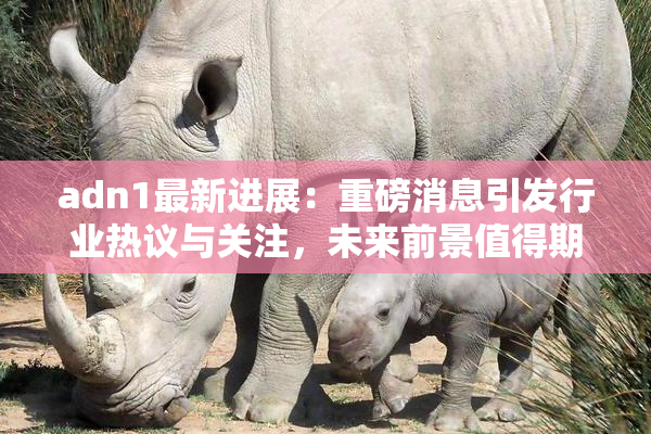 adn1最新进展：重磅消息引发行业热议与关注，未来前景值得期待！