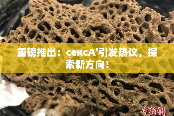重磅推出：сексA′引发热议，探索新方向！