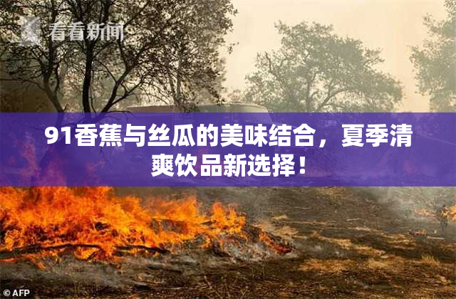91香蕉与丝瓜的美味结合，夏季清爽饮品新选择！