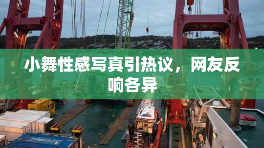 小舞性感写真引热议，网友反响各异