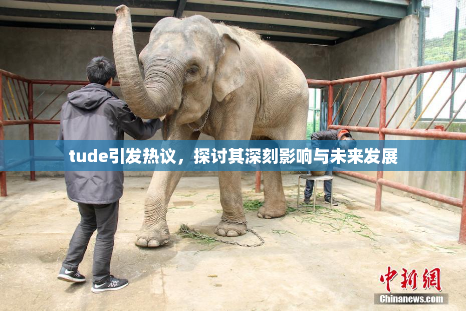 tude引发热议，探讨其深刻影响与未来发展
