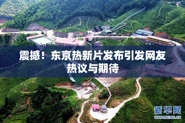 震撼！东京热新片发布引发网友热议与期待