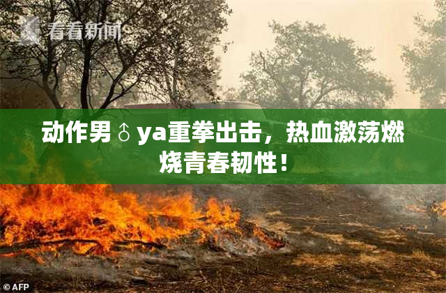 动作男♂ya重拳出击，热血激荡燃烧青春韧性！