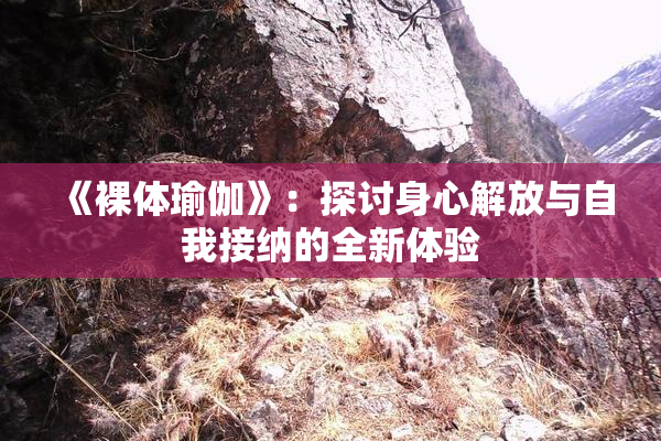 《裸体瑜伽》：探讨身心解放与自我接纳的全新体验