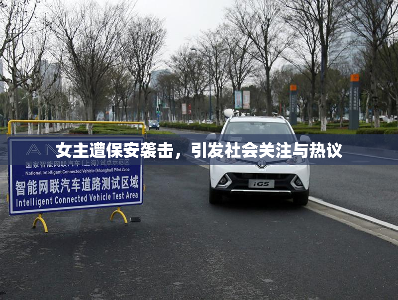 女主遭保安袭击，引发社会关注与热议