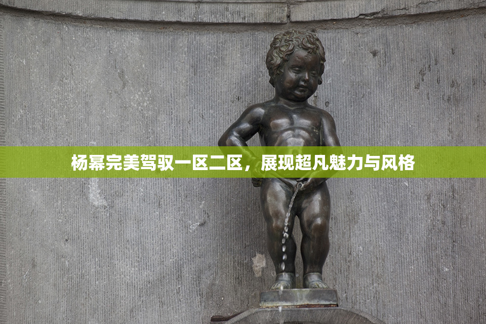 杨幂完美驾驭一区二区，展现超凡魅力与风格