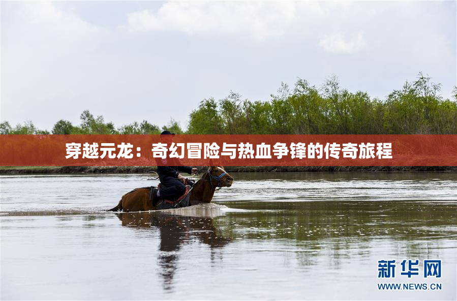 穿越元龙：奇幻冒险与热血争锋的传奇旅程