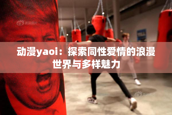 动漫yaoi：探索同性爱情的浪漫世界与多样魅力