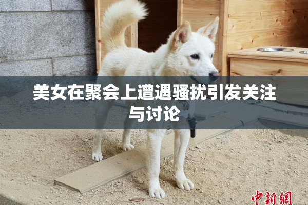 美女在聚会上遭遇骚扰引发关注与讨论