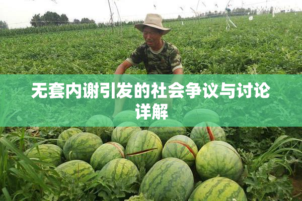 无套内谢引发的社会争议与讨论详解