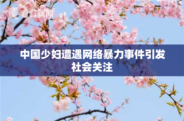中国少妇遭遇网络暴力事件引发社会关注