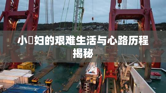 小婬妇的艰难生活与心路历程揭秘
