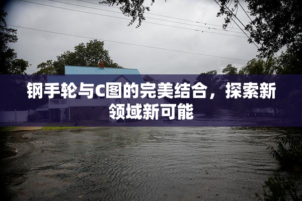 钢手轮与C图的完美结合，探索新领域新可能