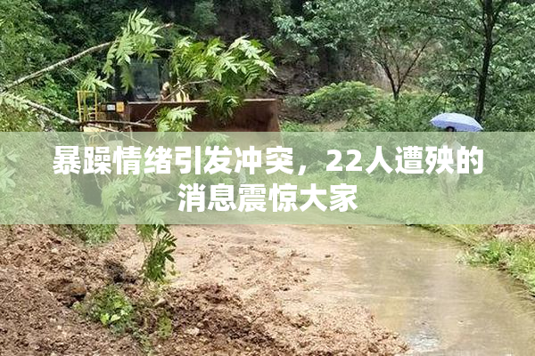 暴躁情绪引发冲突，22人遭殃的消息震惊大家