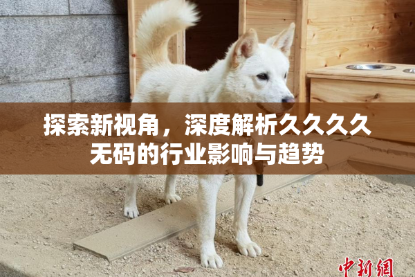 探索新视角，深度解析久久久久无码的行业影响与趋势