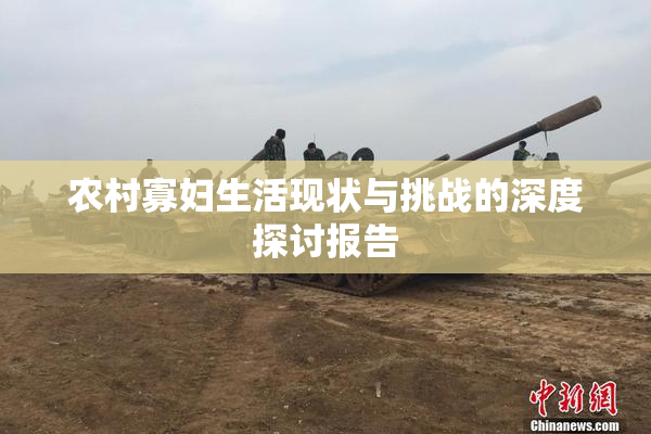 农村寡妇生活现状与挑战的深度探讨报告