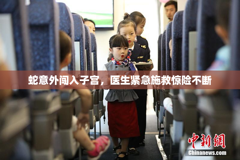 蛇意外闯入子宫，医生紧急施救惊险不断